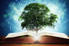 Learning and Development: Tools and Strategies